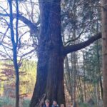 plaine automne 2022 (6)