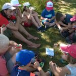 plaine2019nature2
