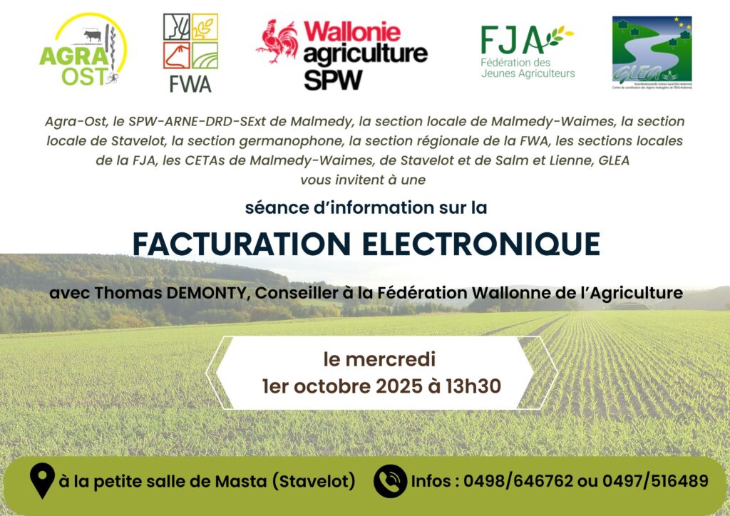 facturation electronique entreprise