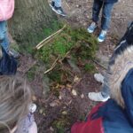 semaine de l'arbre